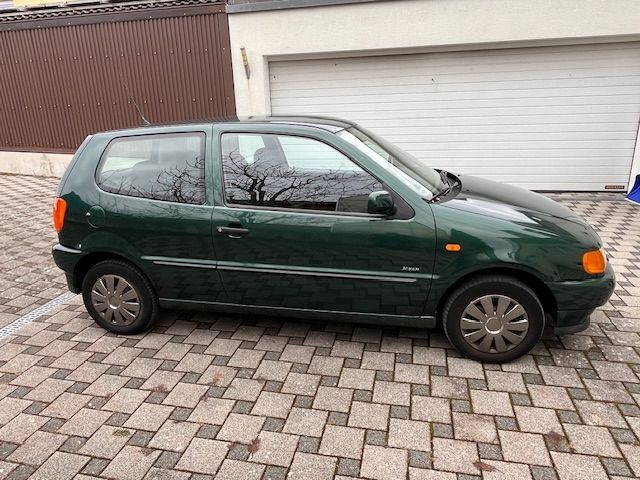 Polo