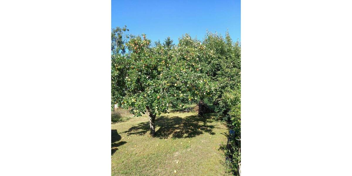 Grundstück Fehrbellin Stadt Fehrbellin - 50.000&euro; | Angebot:22147119