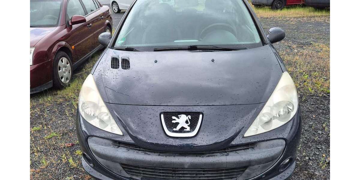 Peugeot 206 73.500 km 2.490 &euro; Westerburg 56457