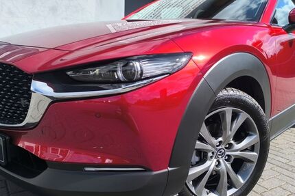 Mazda CX-30 5.450 km 30.290 &euro; Rathenow 14712