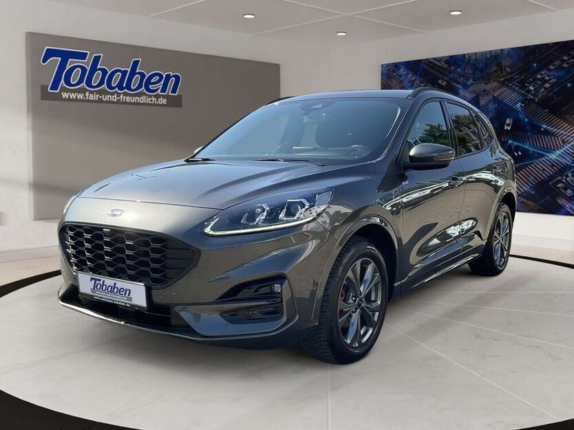 Kuga