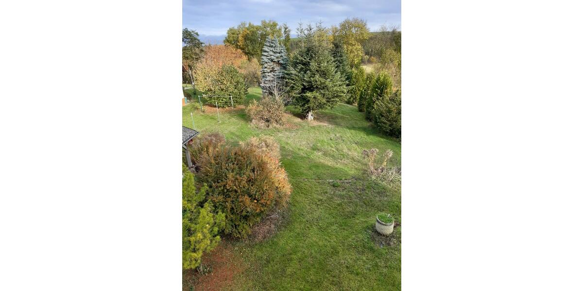 Schönes Einfamilienhaus , Liebenau-OT, 270 qm, 8 Zimmer, 2600 qm 8 zimmer