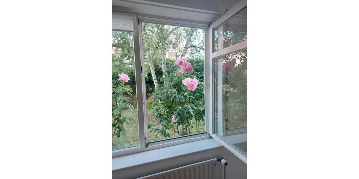 Gewerbeobjekt Darmstadt Bessungen - 520&euro; | Angebot:26705896