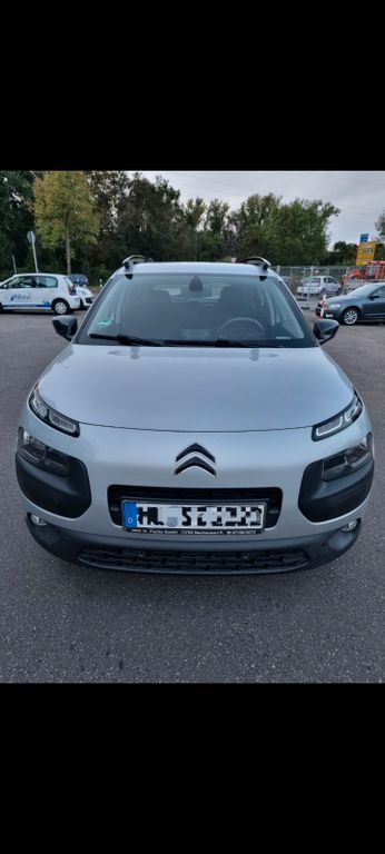 C4 Cactus