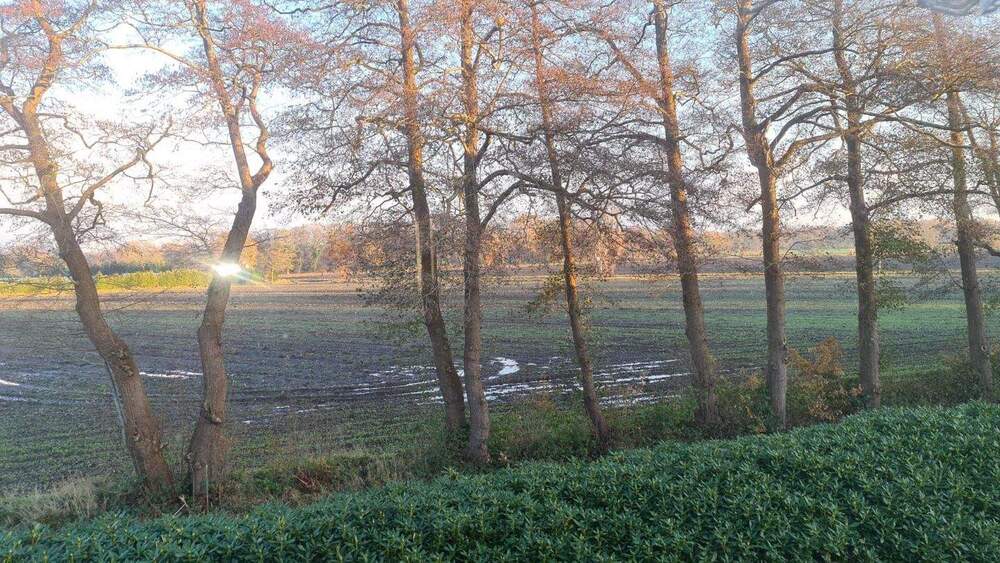 Mehrfamilienhaus, Wohnhaus Bockhorn - 6 Zimmer, 135 m&sup2;, 139.000&euro; | Angebot:23958551