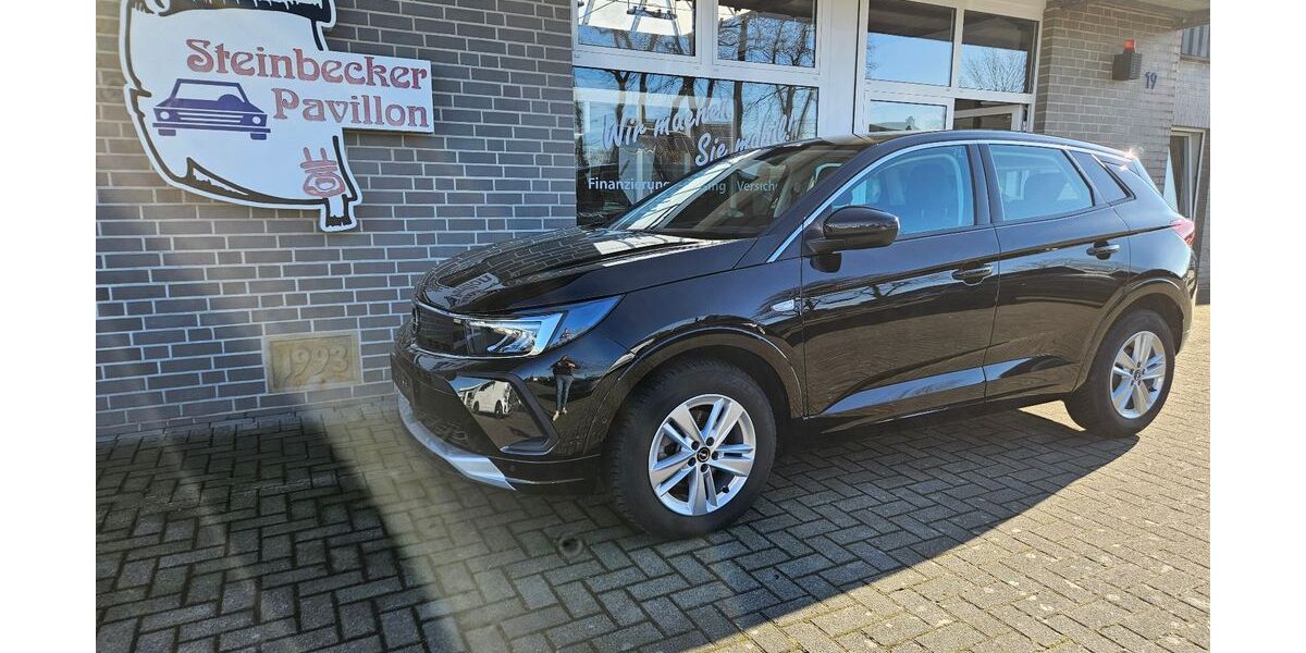 Opel Grandland (X) 38.757 km 21.990 &euro; Recke 49509