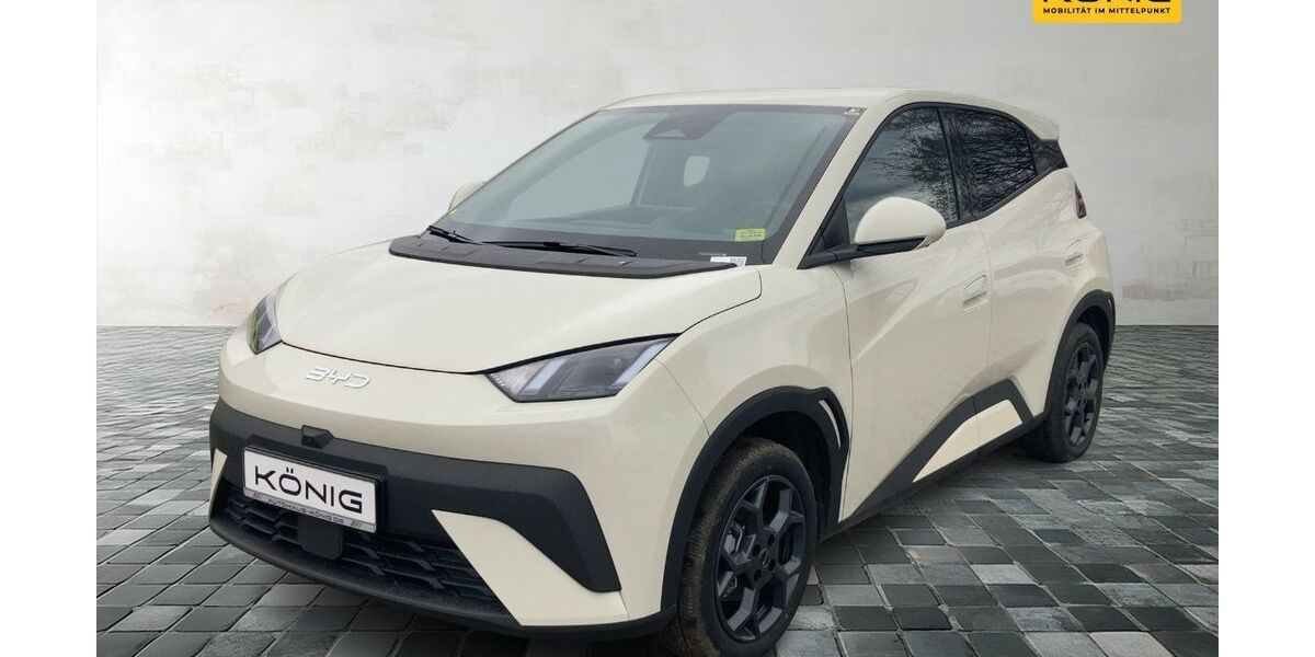 BYD DOLPHIN 1.005 km 23.839 &euro; Gosen 15537