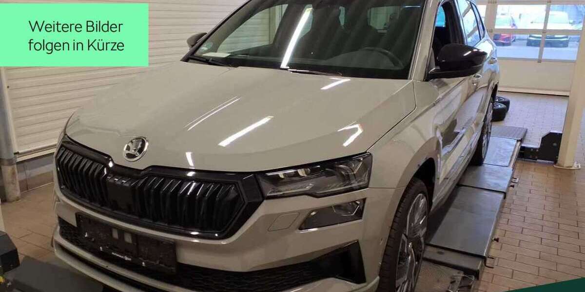 Skoda Karoq 47.900 km 27.988 &euro; Mühlheim a. Main 63165