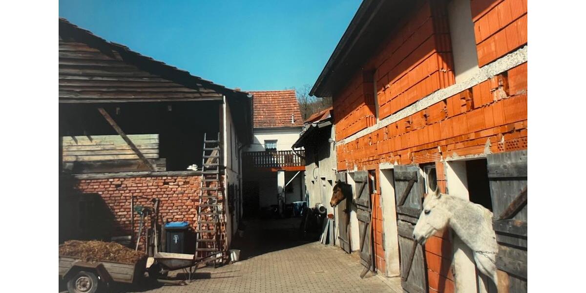 Einfamilienhaus Amt Creuzburg - 8 Zimmer, 188 m&sup2;, 80.000&euro; | Angebot:26363281