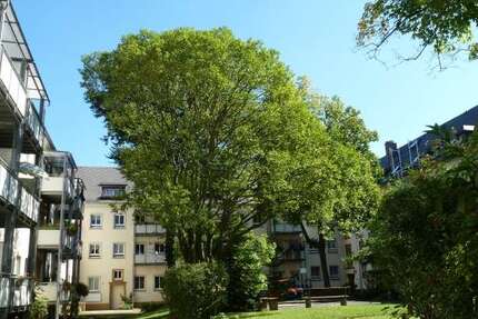 Wohnung zum Kaufen in Chemnitz 65.000 € 73 m²