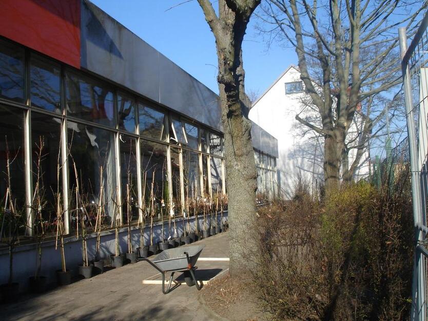 ✅ Wohn- und Geschäftshaus - TOP Lagerhaus in Zentrum