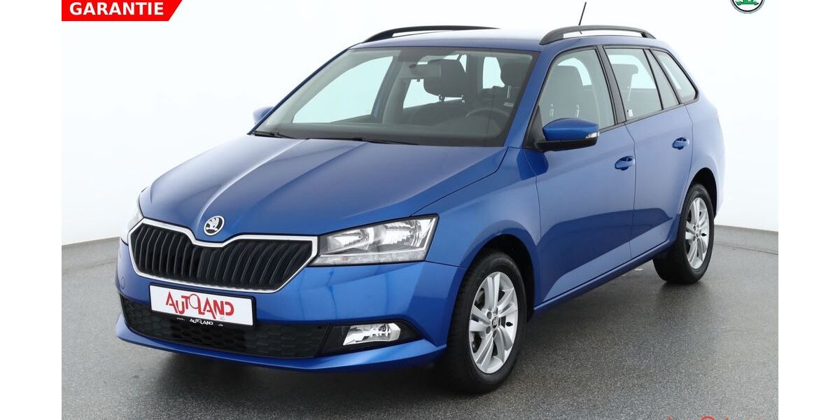Skoda Fabia 45.358 km 14.990 &euro; Zella-Mehlis 98544