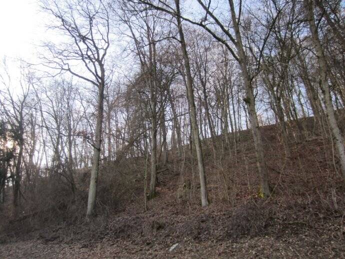 Grundstück Widdern - 25.000&euro; | Angebot:25700084