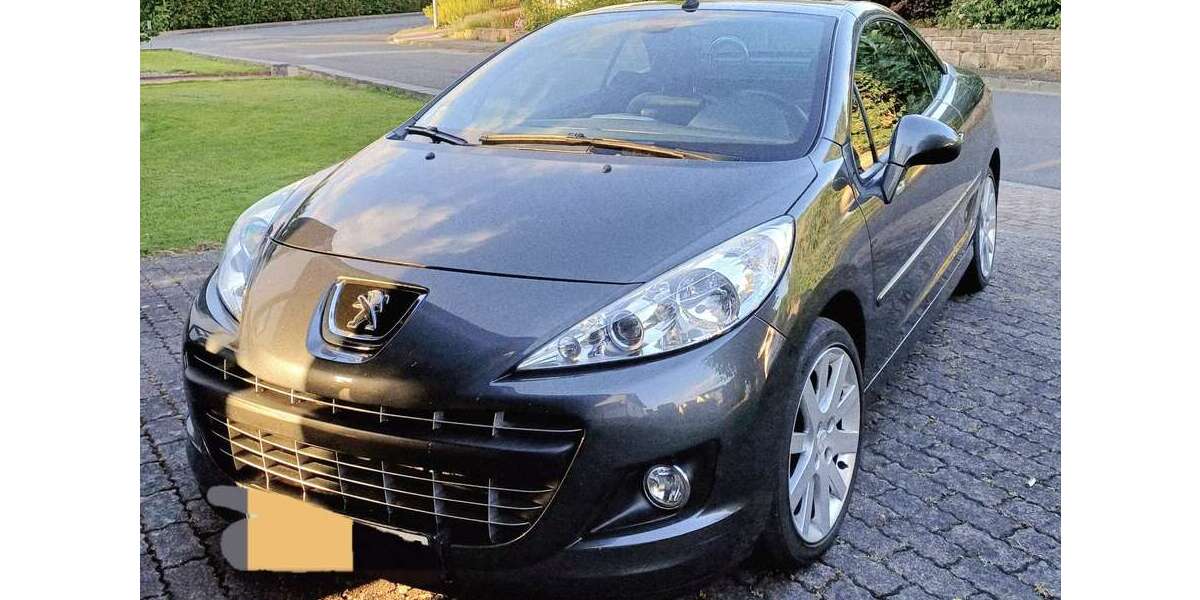 Peugeot 207 116.000 km 4.600 &euro; Reinhardshagen 34359