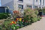 Familienfreundliches Reihenendhaus in ruhiger Lage - Röttgersbach