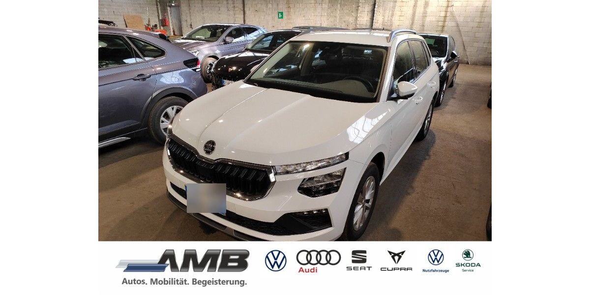 Skoda Kamiq 23.000 km 17.980 &euro; Borna 04552