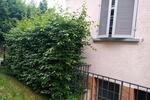Wohnen auf Zeit Stuttgart Stuttgart-Süd - 2 Zimmer, 52 m&sup2;, 300&euro; | Angebot:26691466