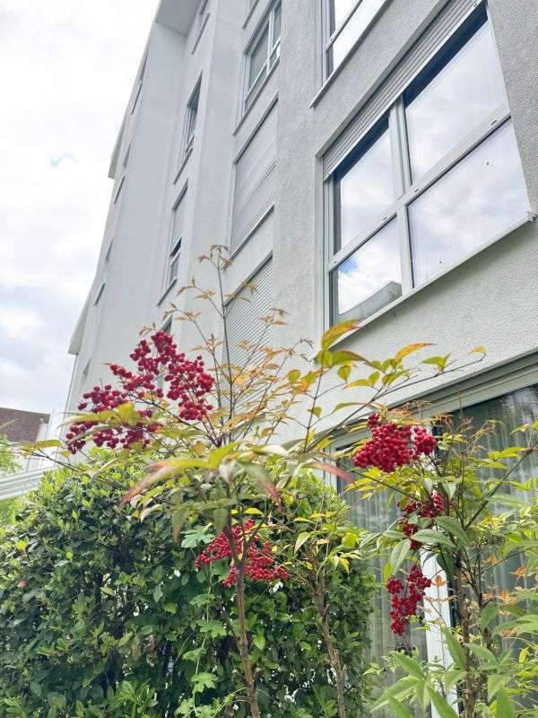 Wohnung zum Kaufen in Wiesbaden 460.000 € 85.18 m²