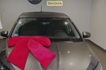 Skoda Fabia 1.100 km 19.400 &euro; München 80999