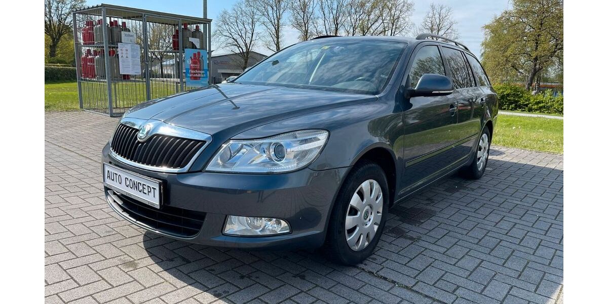 Skoda Octavia 145.000 km 4.499 € Wiefelstede-Borbeck 26215