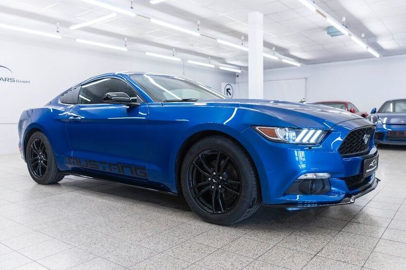 Mustang