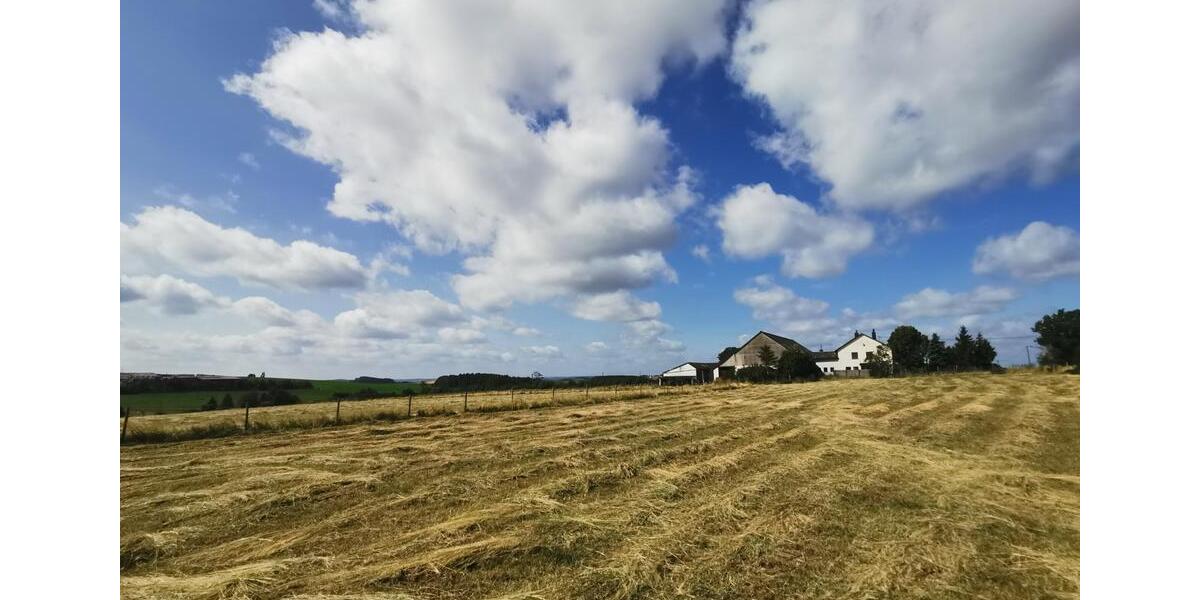 Einfamilienhaus Pronsfeld - 498.000&euro; | Angebot:26524524