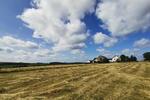 Einfamilienhaus Pronsfeld - 498.000&euro; | Angebot:26524524