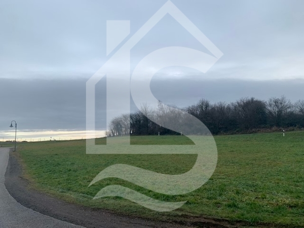 Hier könnte Ihr Traum vom Eigenheim wahr werden! Baugrundstück in Peterswald - Grundstück Peterswald-Löffelscheid Hunsrück | Angebot:16819098