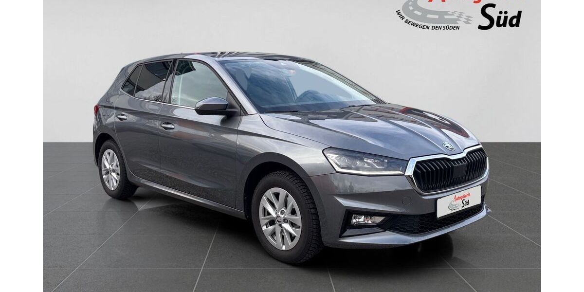 Skoda Fabia 16.200 km 21.100 &euro; Waldshut-Tiengen 79761