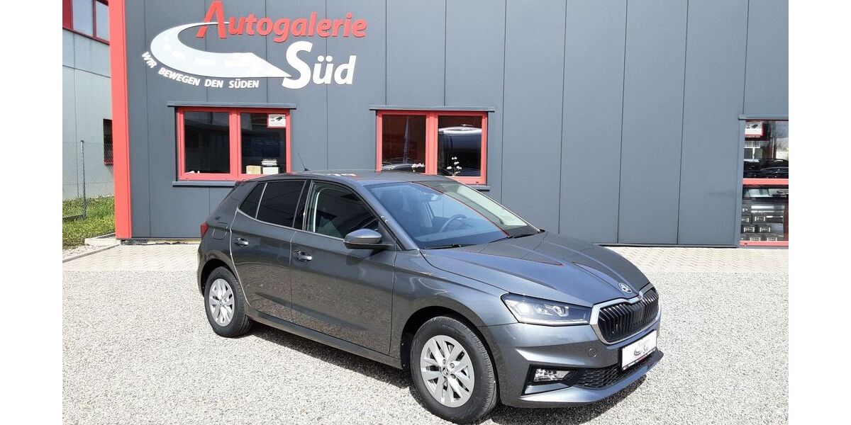 Skoda Fabia 9.900 km 21.100 &euro; Waldshut-Tiengen 79761
