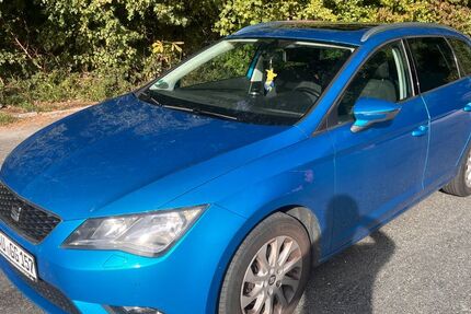 Seat Leon 196.000 km 6.800 &euro; Lauf an der Pegnitz 91207