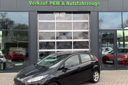 Ford Fiesta 43.653 km 8.475 &euro; Hörstel 48477