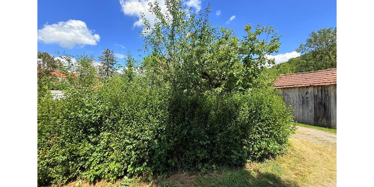 Grundstück Arnstadt - 500&euro; | Angebot:26062088