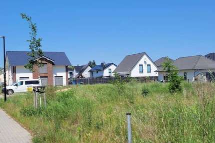 Grundstück Damsdorf Damsdorf - 129.500&euro; | Angebot:24758658