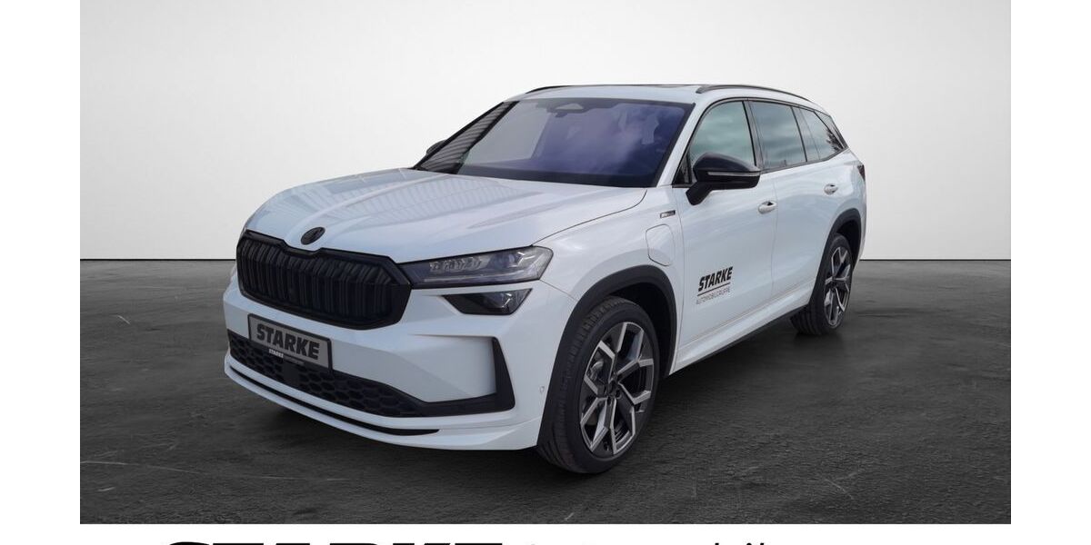 Skoda Kodiaq 60.000 km 53.690 &euro; Georgsmarienhütte 49124
