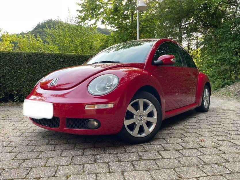 Beetle