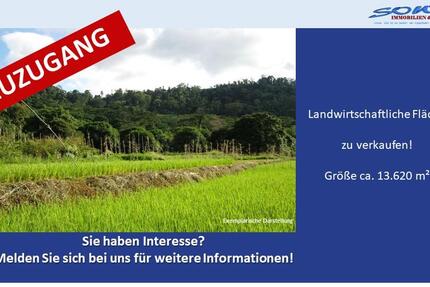 Großzügige Landwirtschaftsfläche in Untermaxfeld - Ein Objekt von SOWA Immobilien & Finanzen Ihrem Immobilienprofi vor Ort - Grundstück Königsmoos Untermaxfeld | Angebot:26087085