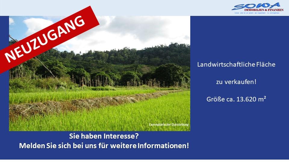 Großzügige Landwirtschaftsfläche in Untermaxfeld - Ein Objekt von SOWA Immobilien & Finanzen Ihrem Immobilienprofi vor Ort - Grundstück Königsmoos Untermaxfeld | Angebot:26087085