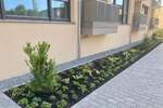 Etagenwohnung Heubach - 2 Zimmer, 65 m&sup2;, 790&euro; | Angebot:25696734