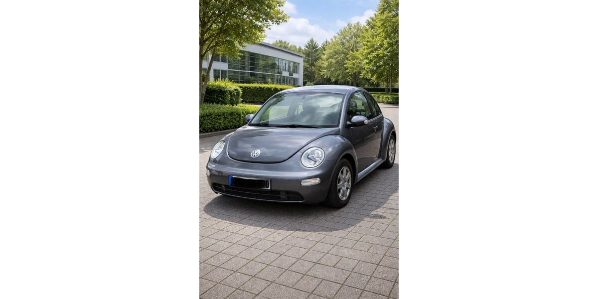 VW Beetle 122.000 km 4.499 &euro; Wiesbaden 65201