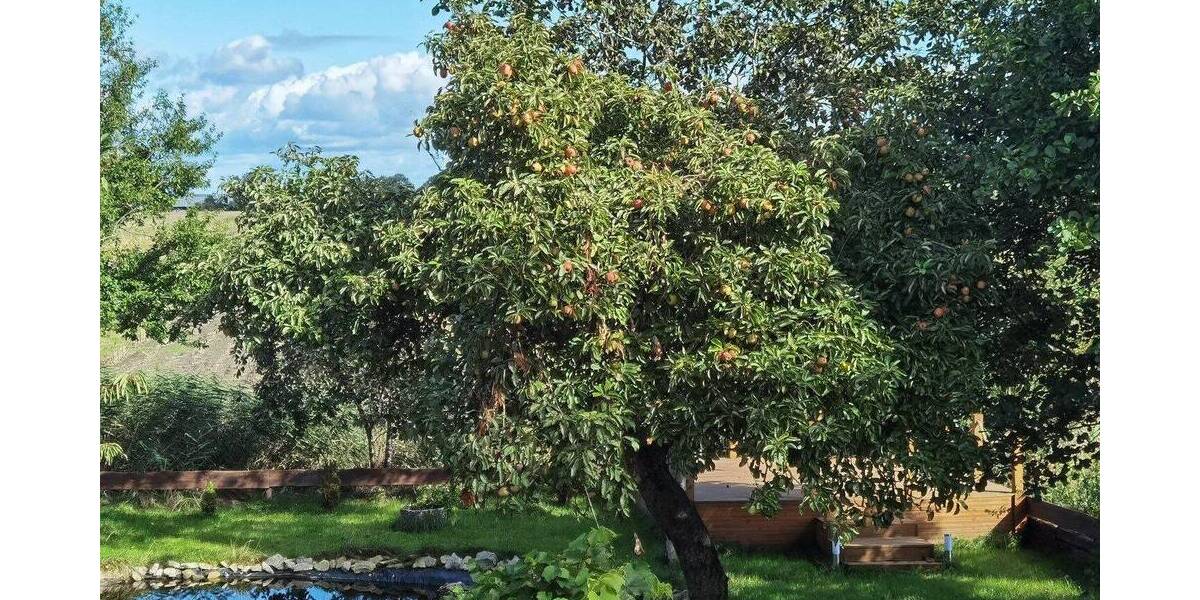 Einfamilienhaus Nordleda - 5 Zimmer, 243 m&sup2;, 490.000&euro; | Angebot:26886411