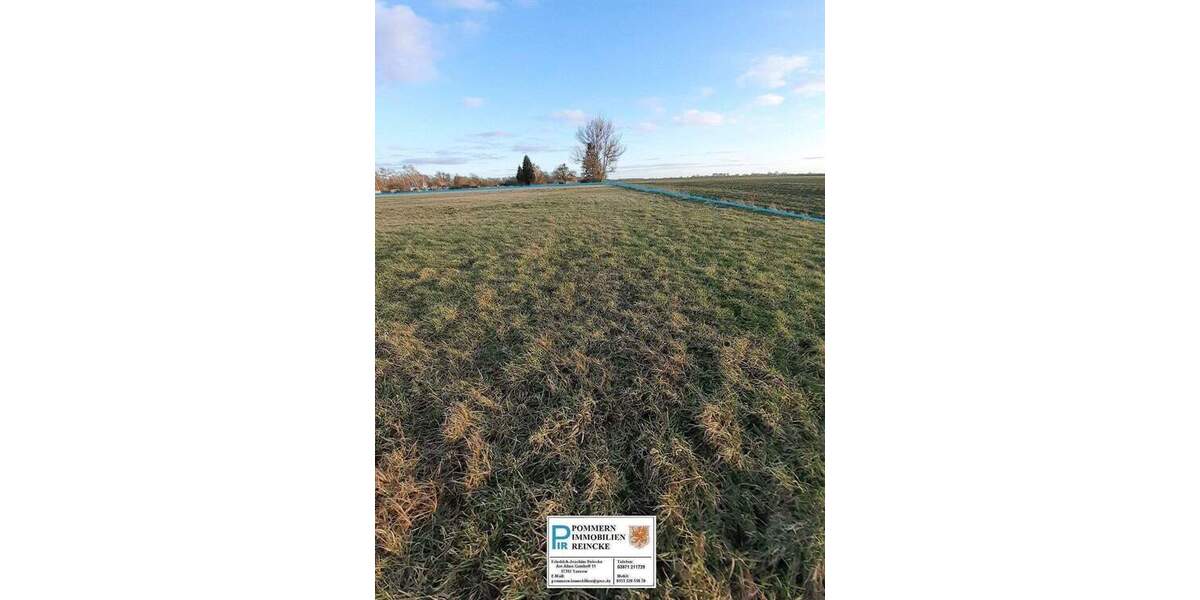 Grundstück Ducherow Schwerinsburg - 56.000&euro; | Angebot:26055327