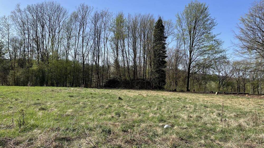 Grundstück Sebnitz - 60.500&euro; | Angebot:25749421