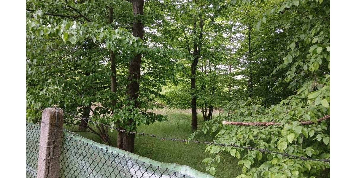 Grundstück Doberschütz Sprotta-Siedlung - 17.000&euro; | Angebot:26556278