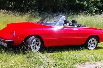 Alfa Romeo Spider 89.000 km 16.500 &euro; Nettersheim 53947