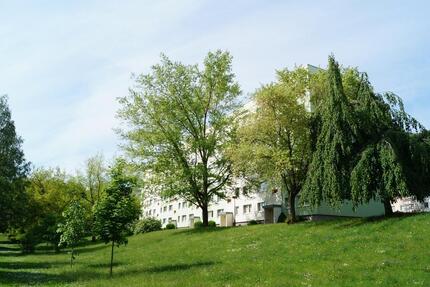 Wohnung Pößneck - 2 Zimmer, 47 m&sup2;, 305&euro; | Angebot:26478030