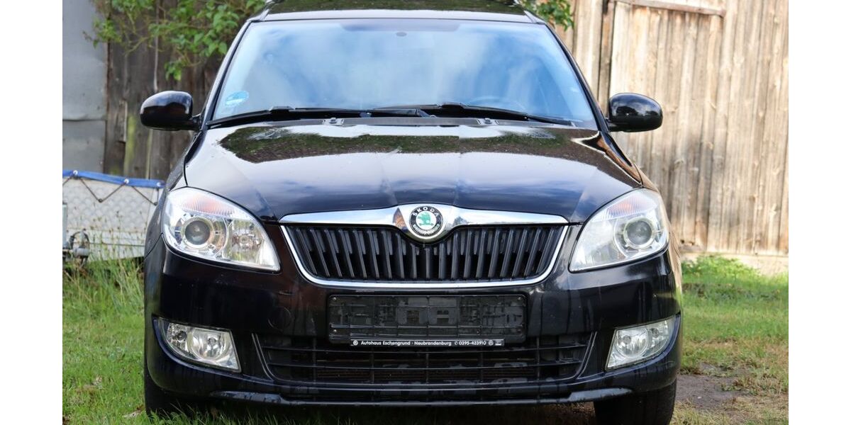 Skoda Roomster 181.417 km 2.500 &euro; Bassow 17099