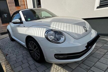 VW Beetle