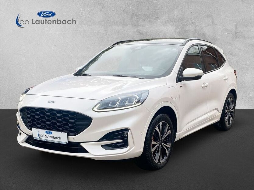 Kuga