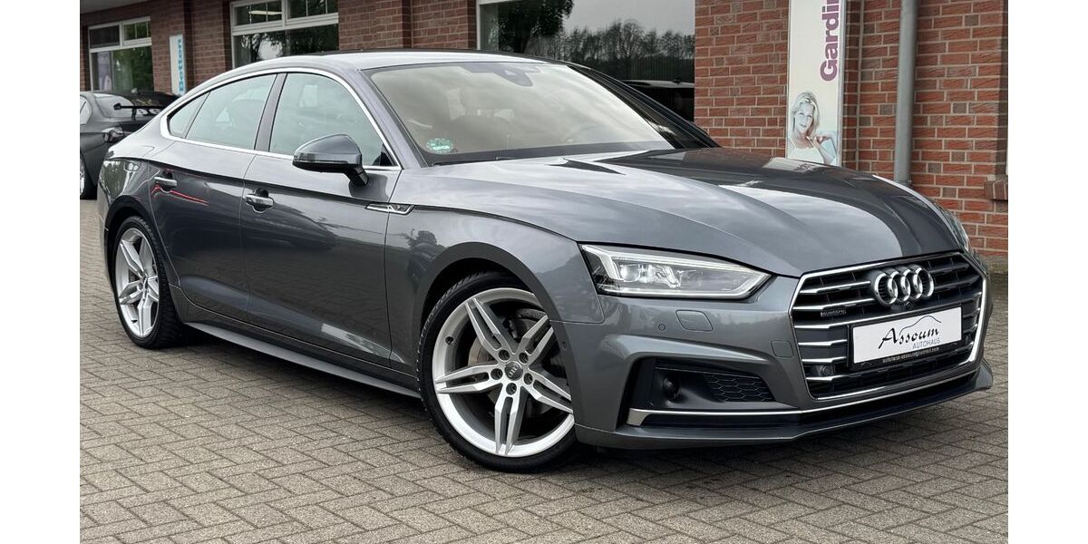 Audi A5 134.617 km 23.999 &euro; Steinfeld 49439